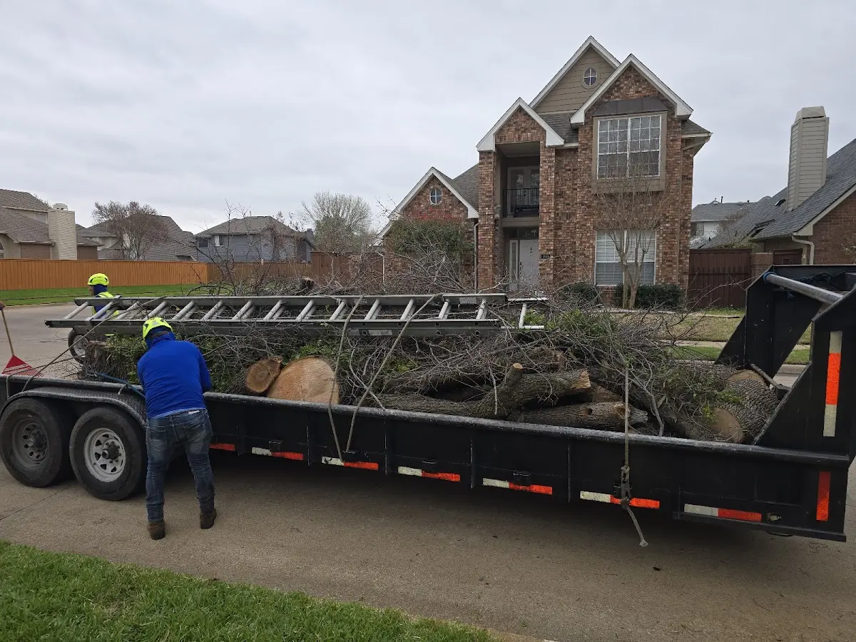 Expert Crown Reduction with proper safety equipment in Glen Aubrey